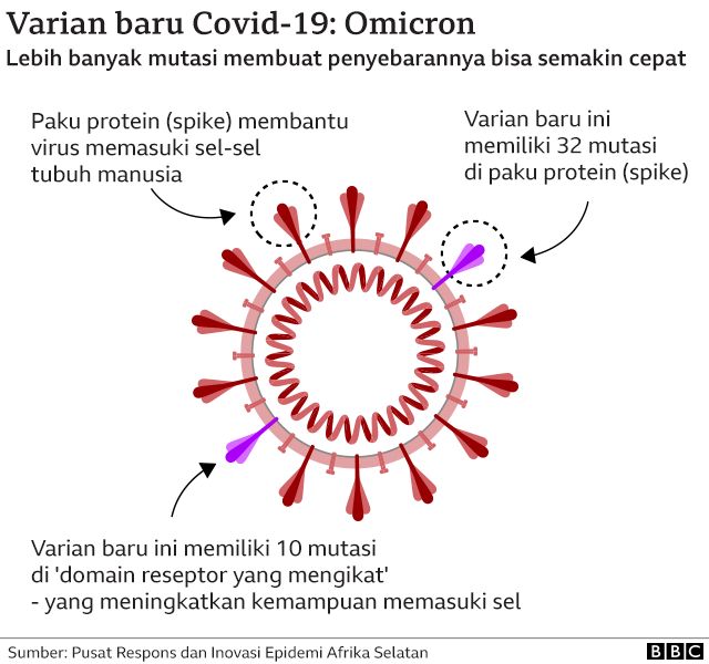 Bagaimana Dengan Jenis virus yang baru Muncul Omicron