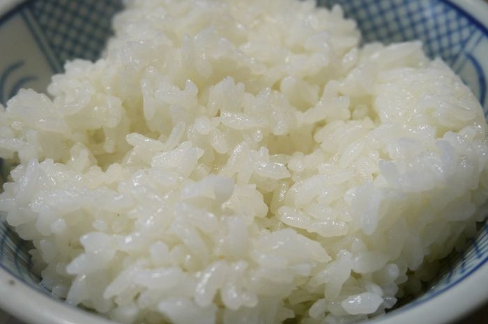 Manfaat dari nasi basi
